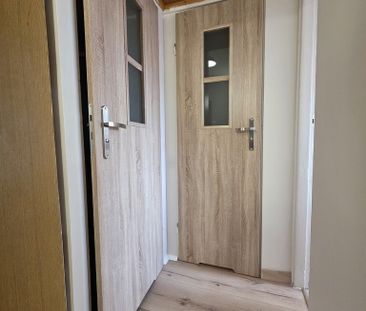 Mieszkanie | Wynajem - Photo 4