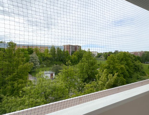 Wohnung, 2 Zimmer (55,23 m²) - Foto 1