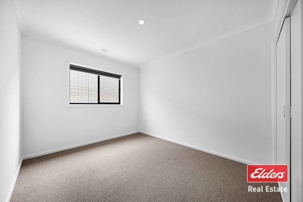 7 Pinebank Street - Photo 1