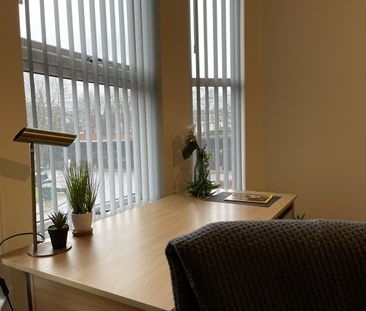 Room in a Shared House, Lower Holyhead Road, CV1 - Photo 3