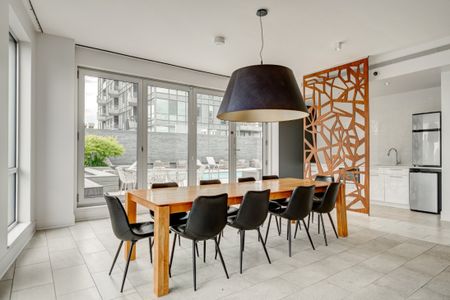 365 Rue St-André, app.819, H2L 0G2, H2L 0G2, Montréal - Photo 4