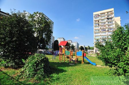 Słoneczne mieszkanie z balkonem - ul. Potulicka - Photo 5