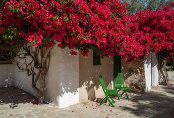 6 bedroom luxury Detached House for rent in Cala de Portinatx, Balearic Islands