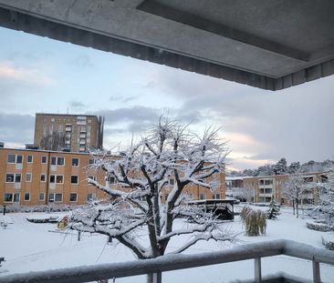 Rösgången, Norrköping - Foto 6