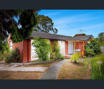 355 South Road, Brighton East, Vic 3187 - Photo 6