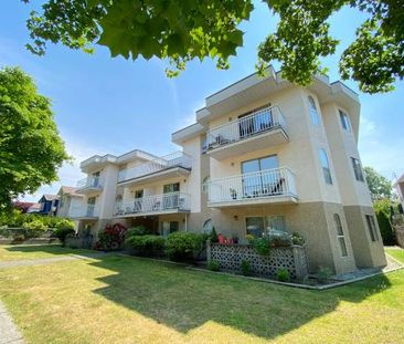 1 bedroom suite in the heart of Main/Fraser corridor East Vancouver - Photo 1