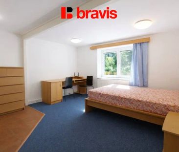 Pronájem útulného 1+kk, ul. Škroupova, Brno - Židenice, Internet v ... - Фото 4