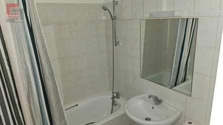 Location Appartement 1 pièce 28m² AVON 77210 - Photo 2