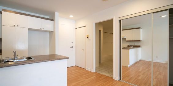 1 CH - 1 SDB - Saint-Charles-Borromée - $1,145 /mo - Photo 3