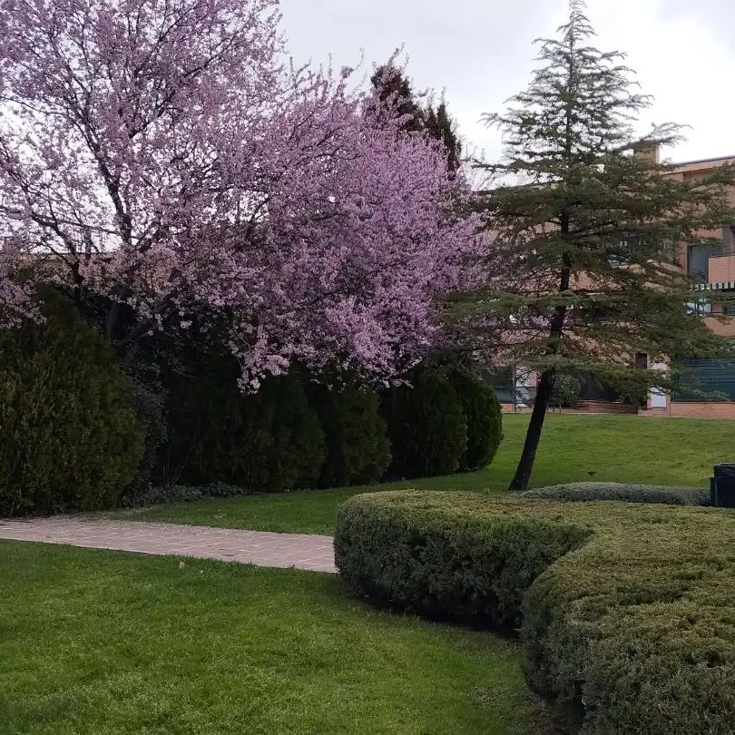Villanueva De La Cañada - Photo 1