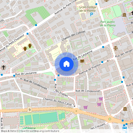 1950, Sion, Rue De Lausanne, 49a