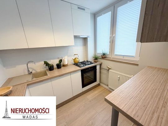 Gliwice Centrum Łokietka Kawalerka 31m po remoncie - Zdjęcie 1