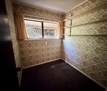 Large family home in Chatswood - Photo 1