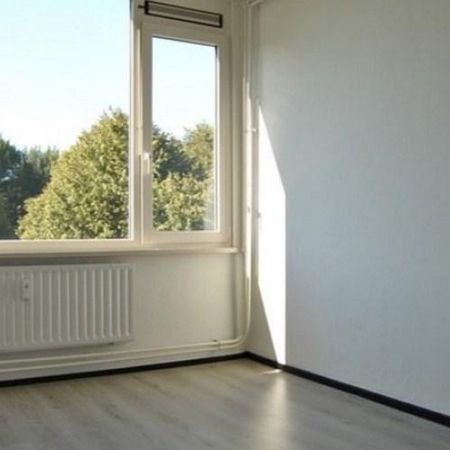 Kasterleestraat, 4826 Breda, Nederland - Photo 4