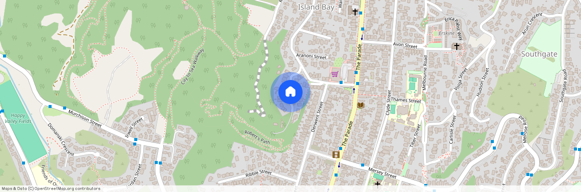 17 Freeling Street, Island Bay, Wellington