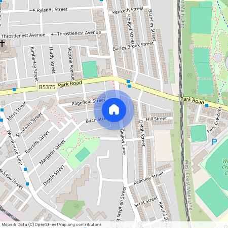 Birch Street, Springfield, Wigan, WN6 7EB