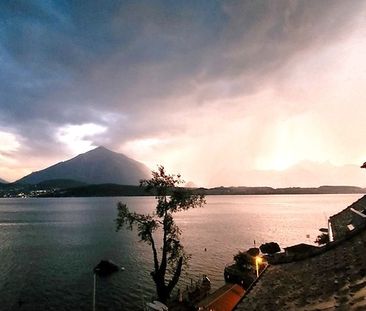 2½ Zimmer-Wohnung in Gunten (BE), möbliert, auf Zeit - Foto 1