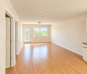Asher Place — 2 Bedroom - Photo 6