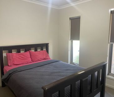 Modern & Low Maintenance - Photo 2