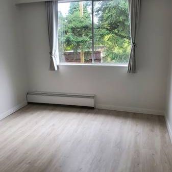 $300 Move-in Bonus - 1-Bedroom Apartment-Newly Renovated: - Photo 1