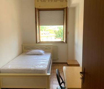 Appartamento in Cassino - Photo 2