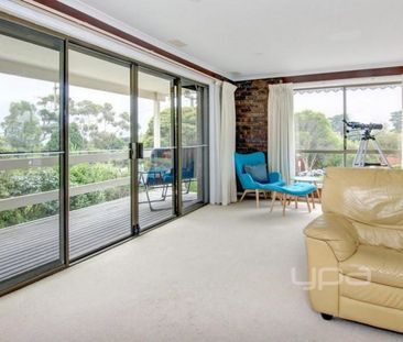 Fabulous on Foote Street! - Photo 2