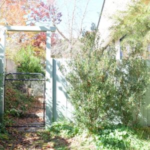 Charming Cottage Living in the Heart of Wentworth Falls! - Photo 2