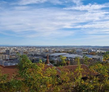 Location Appartement 1 pièce 39m² LYON 5ème - Photo 3