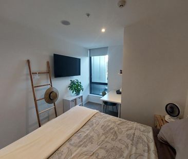 1 Bedroom mordern apartment - Handbag dog or Cat is welcome! - Photo 5