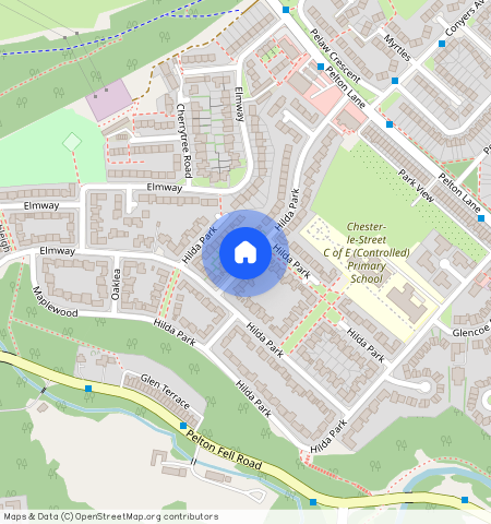 Hilda Park, Chester Lee Street DH2