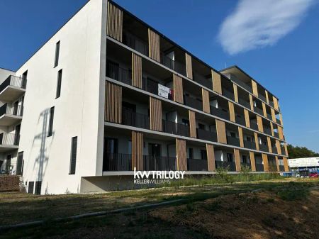 Pronájem bytu 2+kk 55 m - Fotografie 3