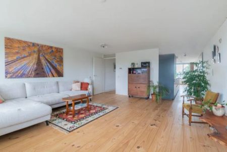Borneolaan - Photo 3