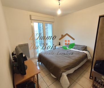 Location Appartement 2 pièces 33m² CHAVANAY 42410 - Photo 3