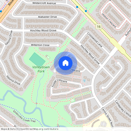 61 Collins Crescent, Brampton