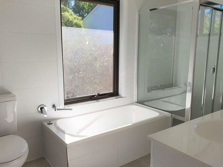 Beautifully Renovated - Water Usage Included! - Photo 5