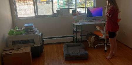 pet friendly one bedroom - Photo 2