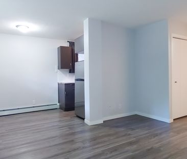 1 Bed Condo For Rent In Mission: Heat, Water, And Parking Included.... - Photo 2