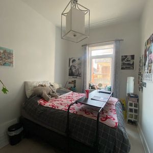 McGill/Downtown - Superb 5 1/2 Furnished - Photo 3