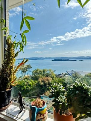 Incredible views in Point Howard - Photo 1