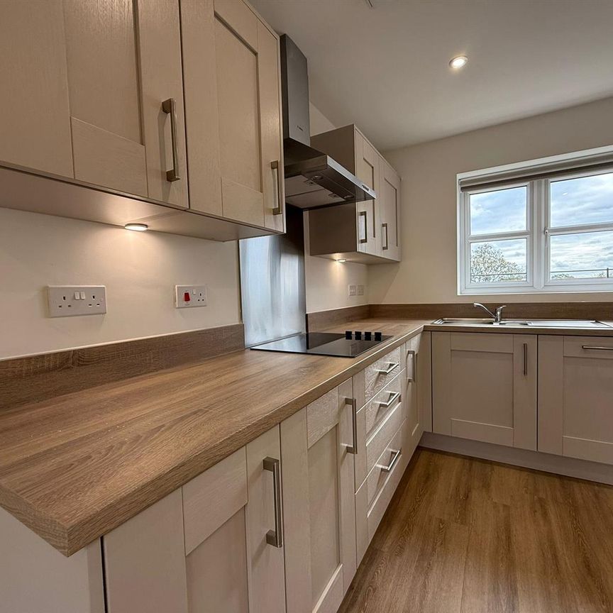 3 Bedroom House To Rent - Photo 1