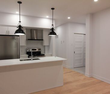 1620 Rue Dézéry, Montréal (Mercier, QC H1W - Photo 2