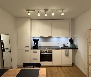 moderne Wohnung in Schlieren - Foto 4
