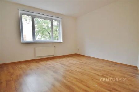 Pronájem pěkného 3+kk s terasou, 83 m - Fotografie 5