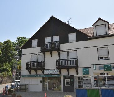 Location Appartement 2 pièces 34m² BOIS LE ROI 77590 - Photo 5