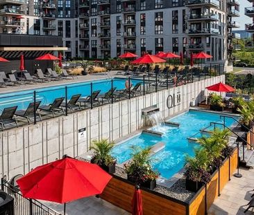 Appartement à louer 2 chambres - Cession de bail - Photo 1