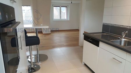 Beautiful 3.5 room apartment, opposite the Botanical Garden and the Lycée - Photo 2