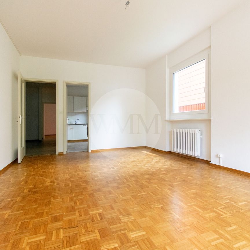 LARGE 2.5-ROOM APARTMENT IN CASSARATE LAKE VIEW - Photo 1