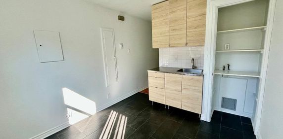 Superbe 3 ½ ensoleillé, libre maintenant, triplex, 2 ième étage, très propre - Photo 2