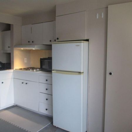 Loft à St-Malachie 520$/mois tout inclus - Photo 3