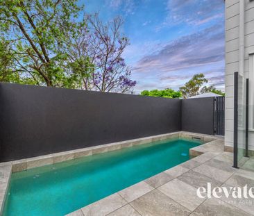 12 Stafford Street, Paddington - Photo 6